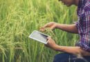 CMUGS EP17: ทางเลือกของเศรษฐกิจและการพัฒนาอย่างยั่งยืน Series: กลุ่มชาติพันธุ์กับการเกษตรรูปแบบใหม่ Smart Farming