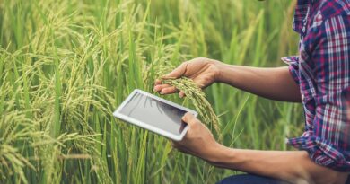 CMUGS EP17: ทางเลือกของเศรษฐกิจและการพัฒนาอย่างยั่งยืน Series: กลุ่มชาติพันธุ์กับการเกษตรรูปแบบใหม่ Smart Farming